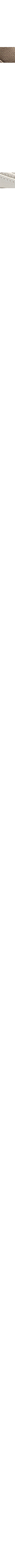 Blanc cassé