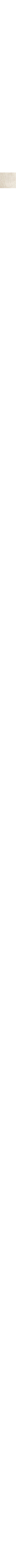 Blanc cassé