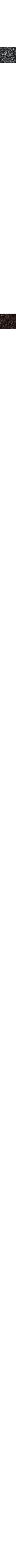 Charbon