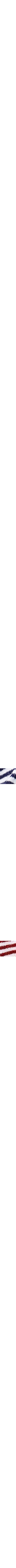 Patterned Blue