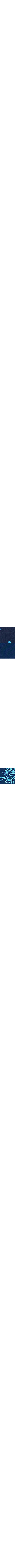 Bleu marine - Bleu nuit