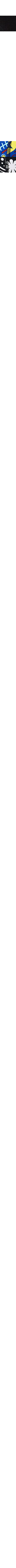 Noir à motifs