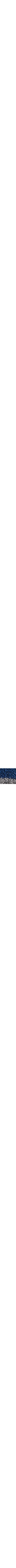 Patterned Blue