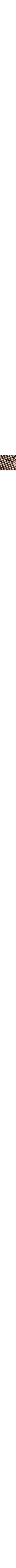 Brun à motifs