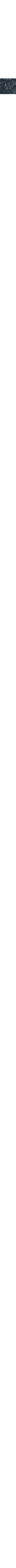 Gris à motifs