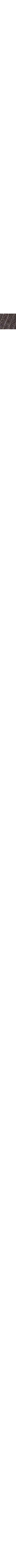 Charbon