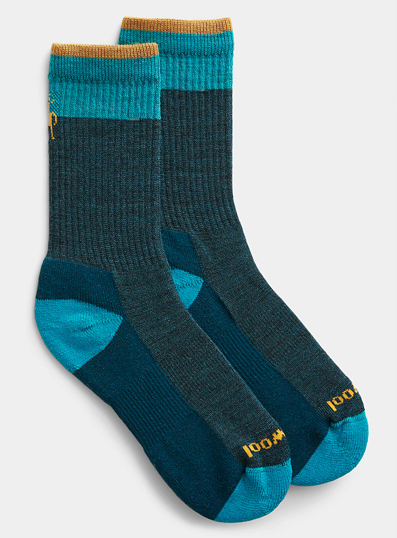 Smartwool Blue Everyday heathered wool sock for women