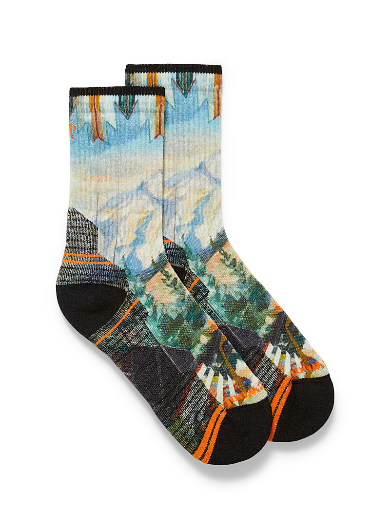 Smartwool Assorted Mountain hiking wool socks for men