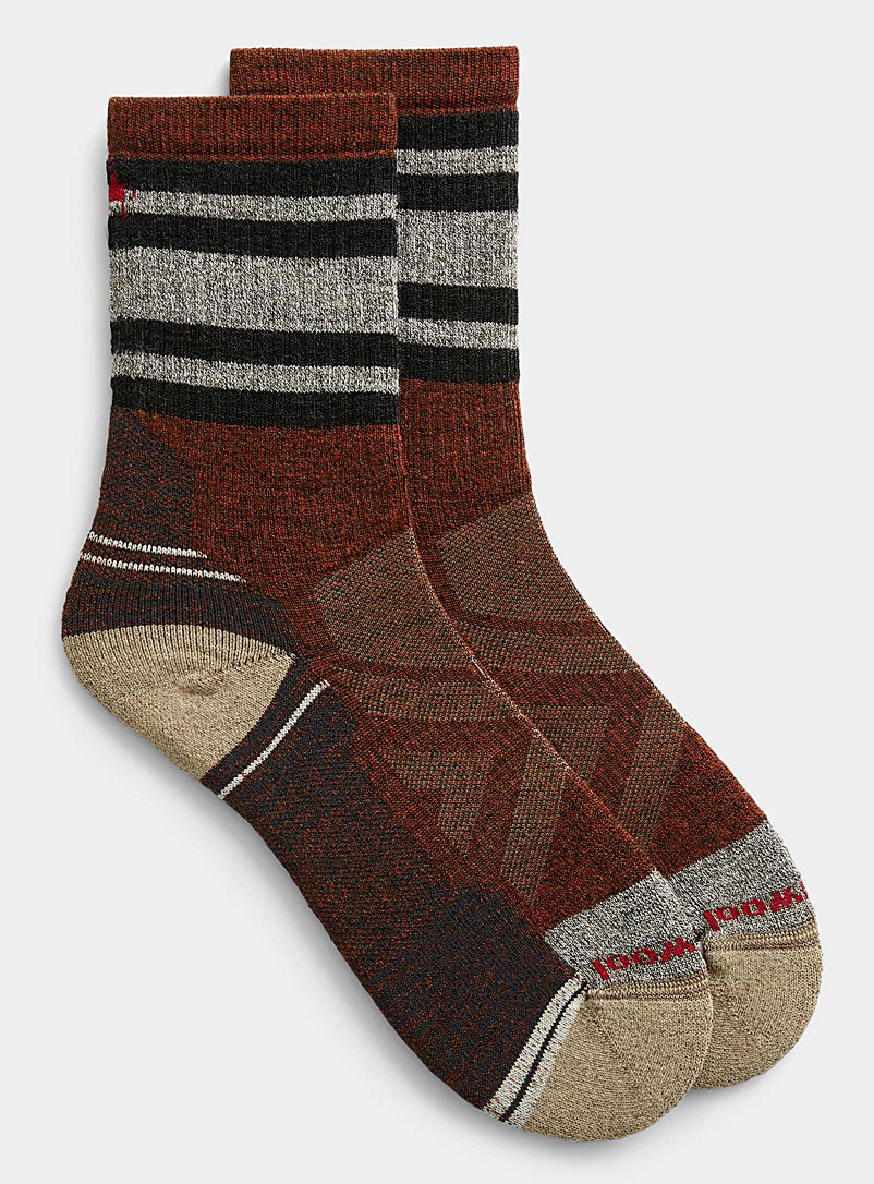 Smartwool Copper Lolo Trail striped padded sock for men