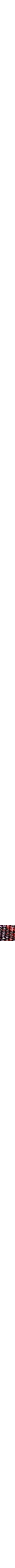 Pourpre à motifs