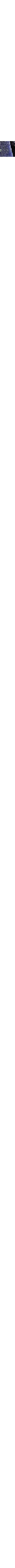 Noir à motifs