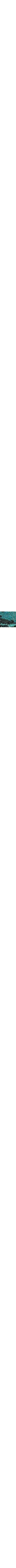 Vert à motifs