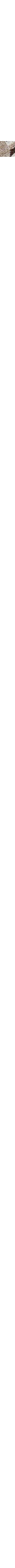 Noir à motifs