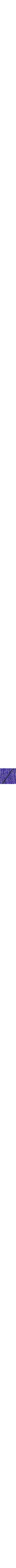 Patterned Blue