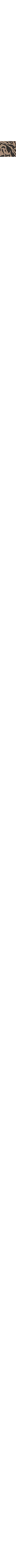 Noir à motifs