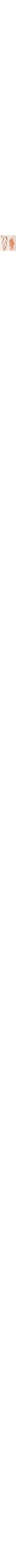 Patterned Ecru