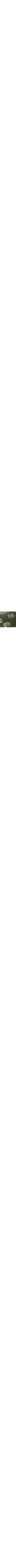 Vert à motifs