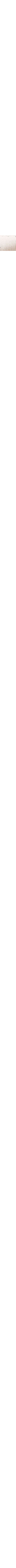 Écru à motifs