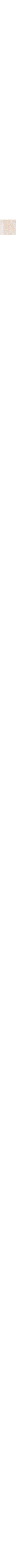 Ecru/Linen