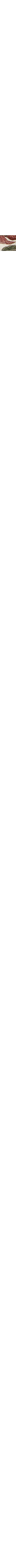 Écru à motifs
