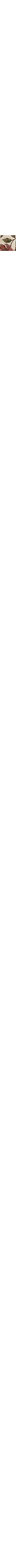 Écru à motifs