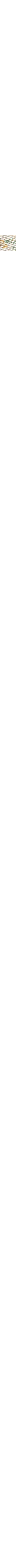 Écru à motifs