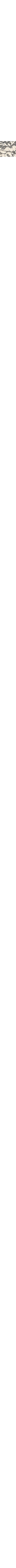 Noir à motifs