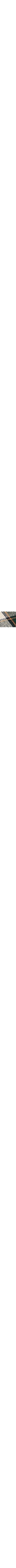 Vert à motifs