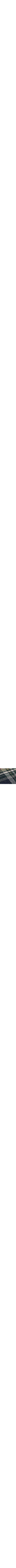 Marine à motifs