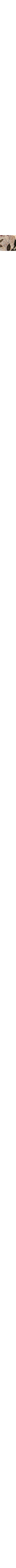 Patterned Ecru
