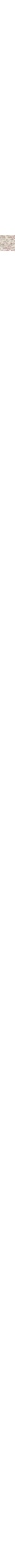 Patterned Ecru