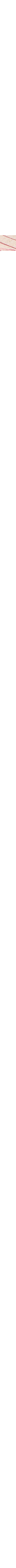 Patterned Ecru