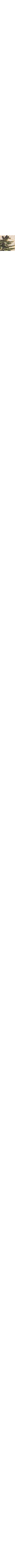 Écru à motifs