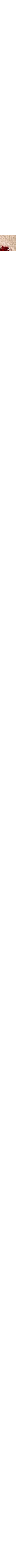 Écru à motifs