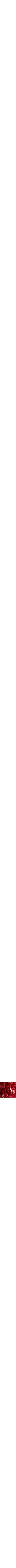 Rouge à motifs