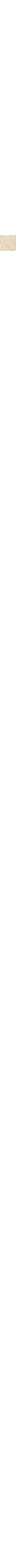 Patterned Ecru