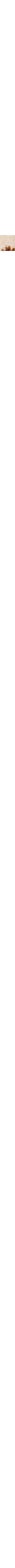 Patterned Ecru
