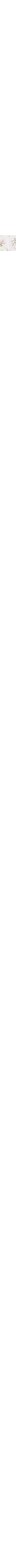 Patterned Ecru