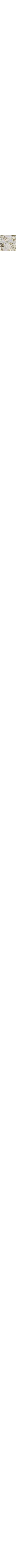 Écru à motifs