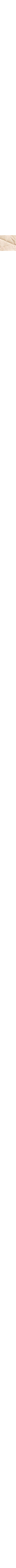 Patterned Ecru