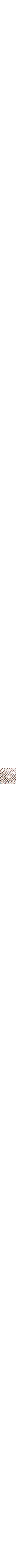 Bleu à motifs