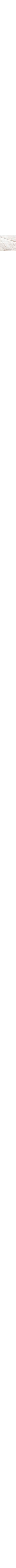 Écru à motifs