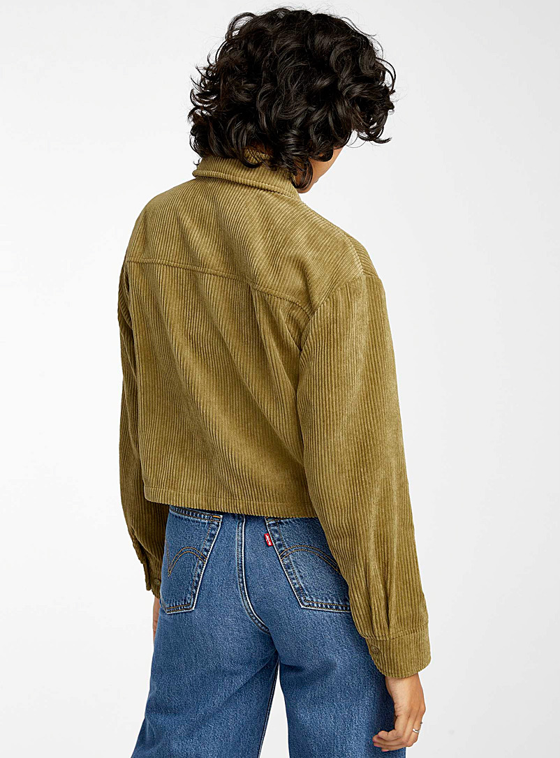 Twik Light Brown Cropped eco-friendly corduroy shirt for women