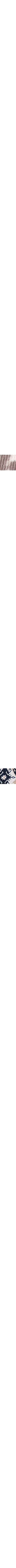 Patterned Brown