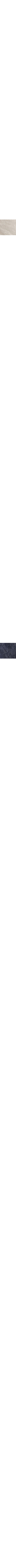 Coal