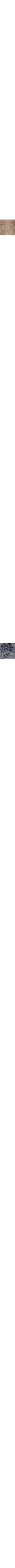 Ecru/Linen