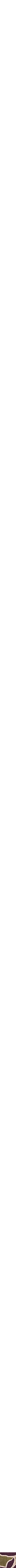 Assorti