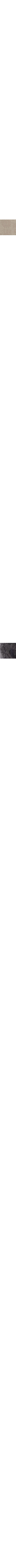 Charbon 
