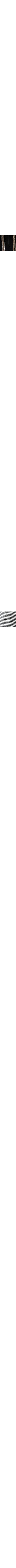 Patterned Ecru