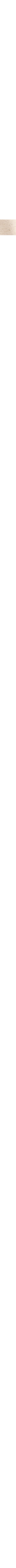 Ecru/Linen